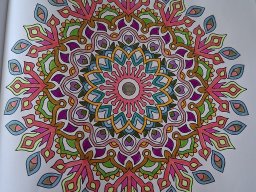 whatsapp bild 2025-04-11 um 11.42.41_0e6e6434